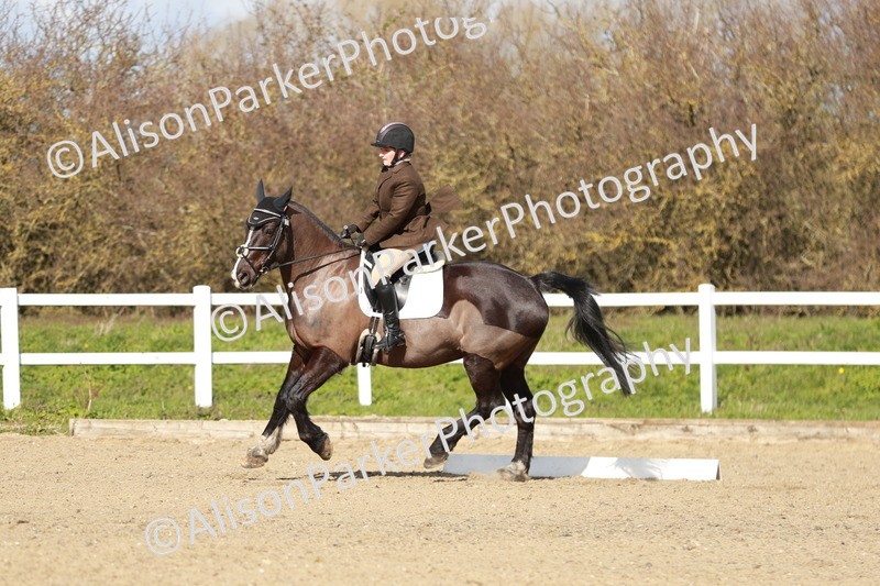 20260314-3040 - DR3 - Prelim 1