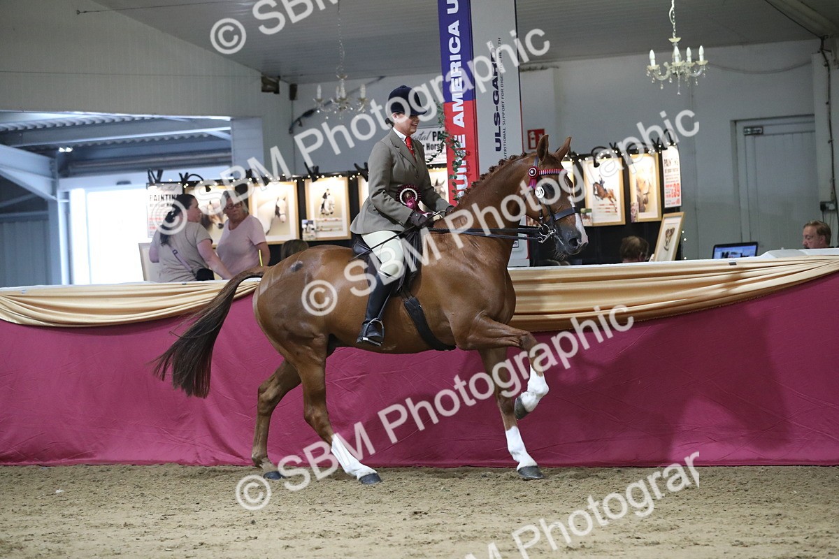 SBM_08510 - Class 11R Regional Ridden Veteran