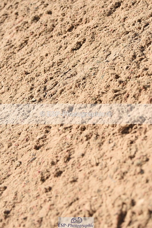 230906A-134232-00489 - Foxhunter & 1.20m Open