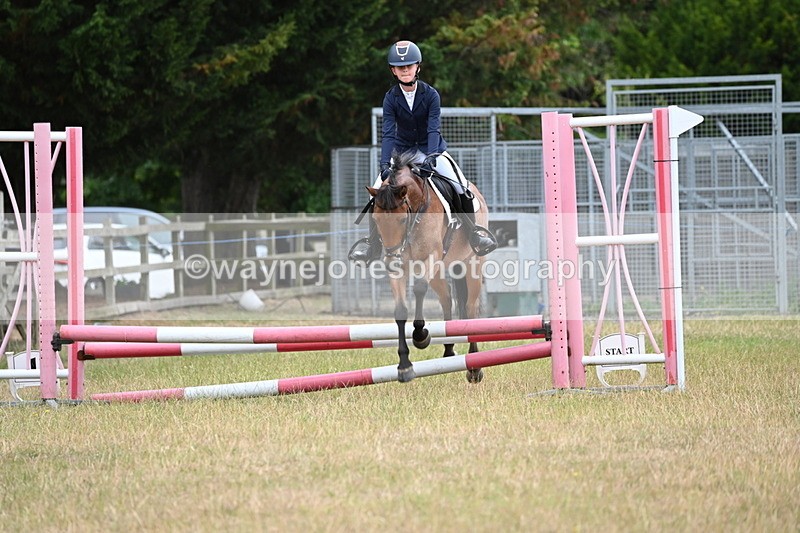 WJ6_9978 - Class 13 Novice Jumping 60cm