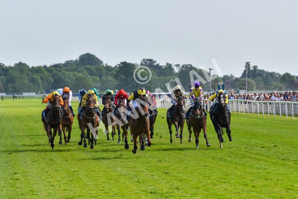 270523-Race 5-Starnberg-4482 - Race 5 3.50pm William Hill Extra Place Races Daily Handicap