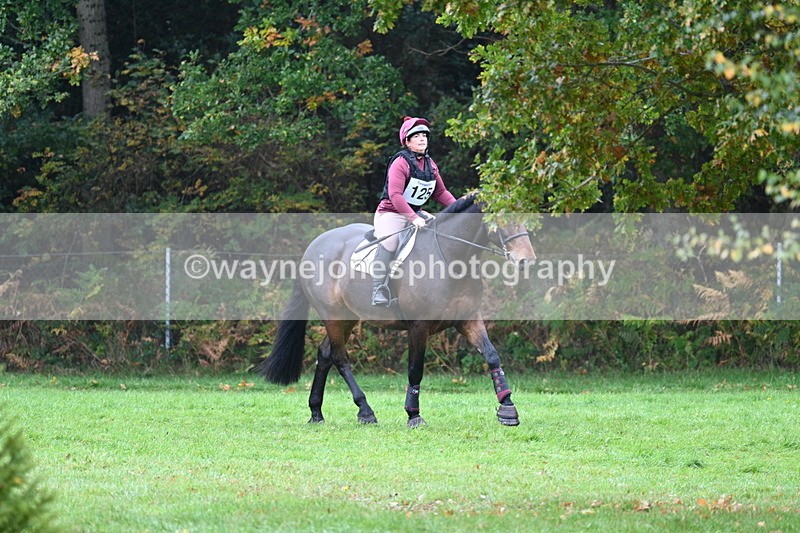 WJ7_3295 - Time 11:13 to 11:32