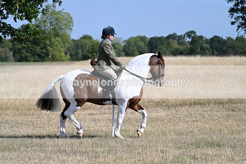 WJ7_2799 - Class 8 Ridden Tack & Turnout