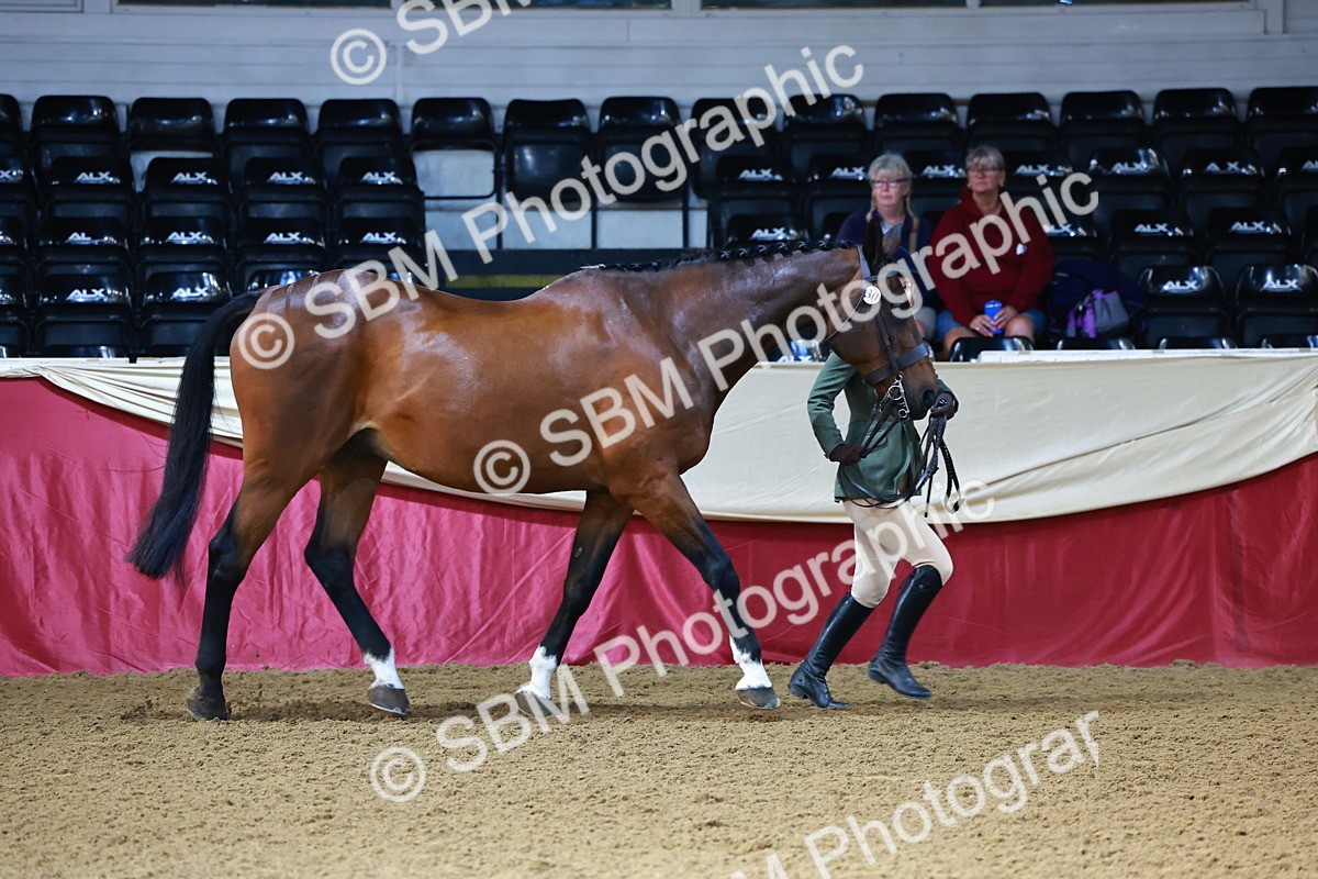 SBM_21705 - Class 901 - Supreme Final - IH  Diamond