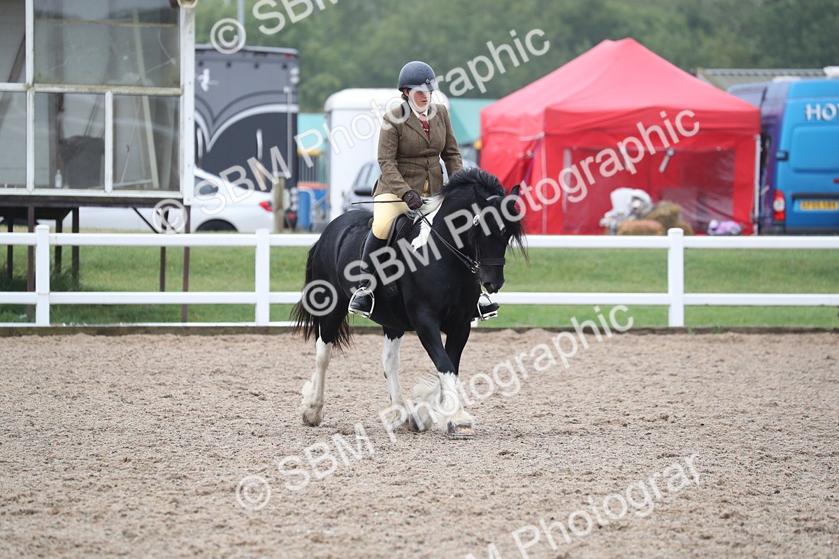 SBM_22025 - Class 603 - 2025 Area Ridden Pre Vet