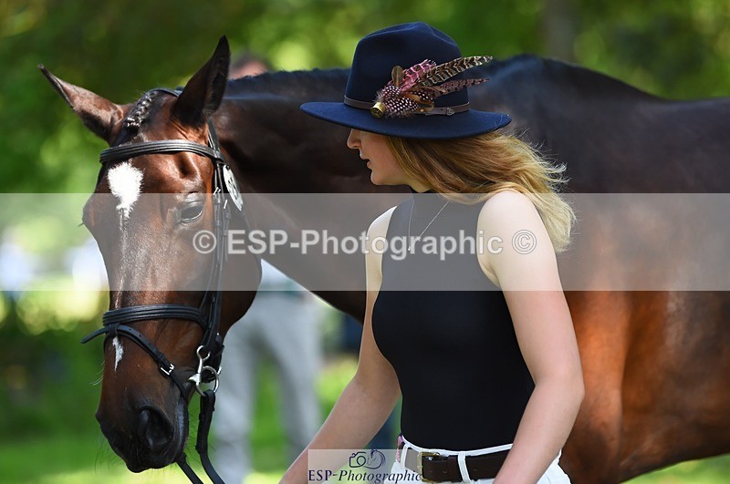 230524-161130-00748 - 254-PURE_TRENDSETTER-Ellie_Fredericks-WEDTrotUp+DR