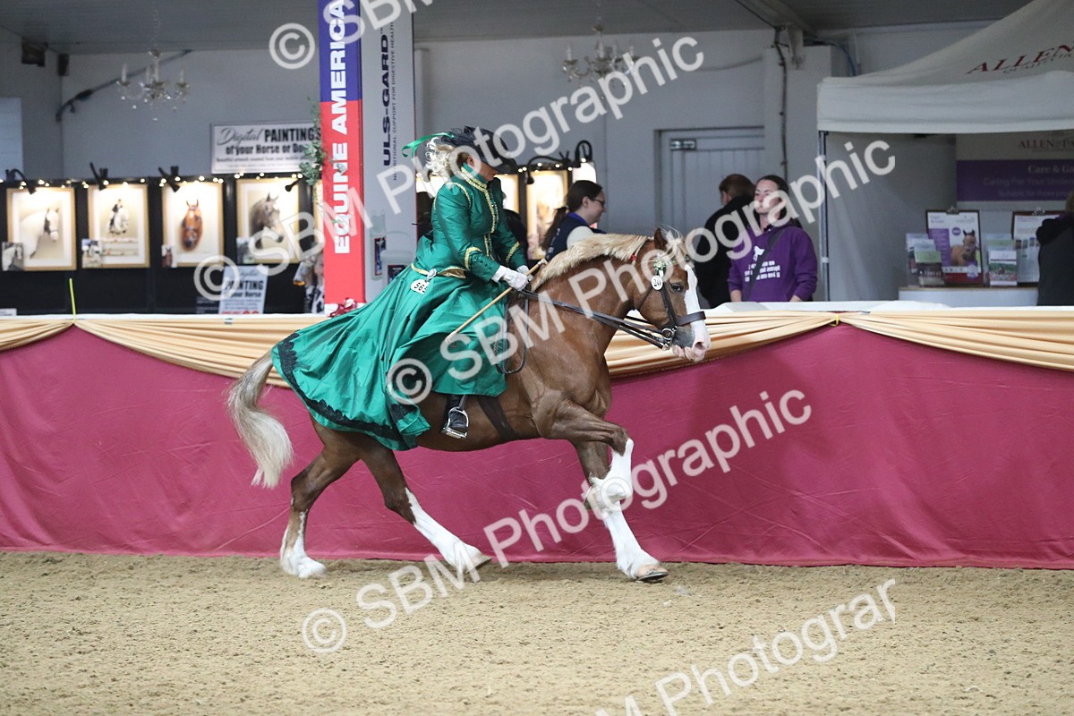 SBM_12129 - Class 107 Ridden Costume- Astride Adult (20+)