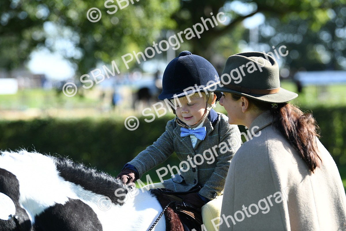 SBM_36972 - S18 - Novice & Newcomers Lead Rein Pony