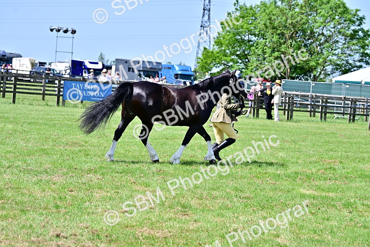 SBM_03906 - Class 58 - TSR  Ridden Veteran Amateur of the year