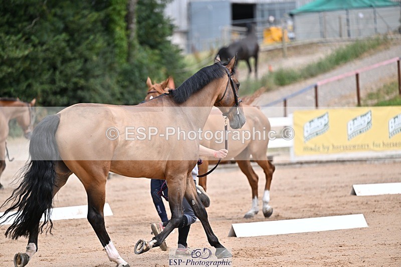 250716-130626-00331 - Trot Up 12.30 to 1.30