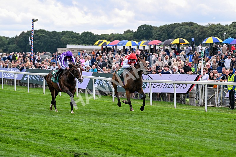 210826-Race 2-Al Nayyir-5394 - Race 2 14.25pm Weatherbys Lonsdale Cup Stakes