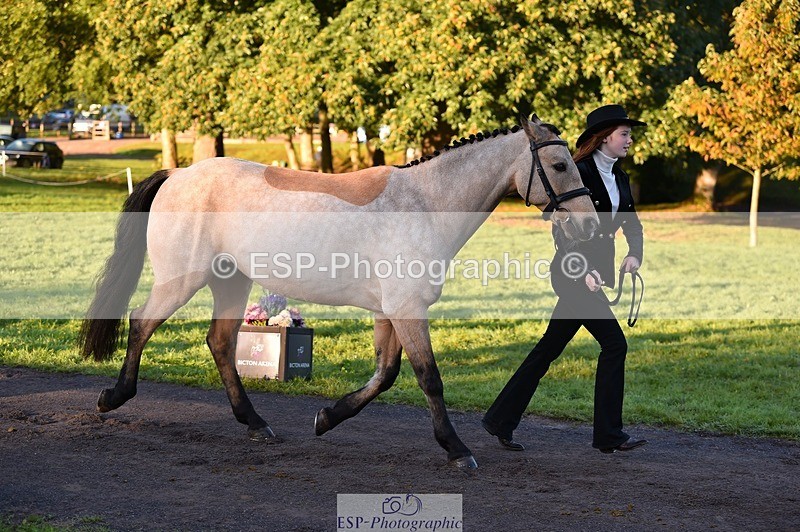 231022-084738-21361 - 661-MYSHALL.ROBBY-Poppy.Turriff-TrotUp+SJ