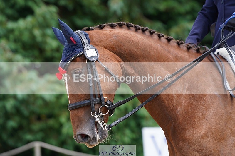 240721-140608-09197 - 152-Nicole_Windley-Shirsheen_Merlin