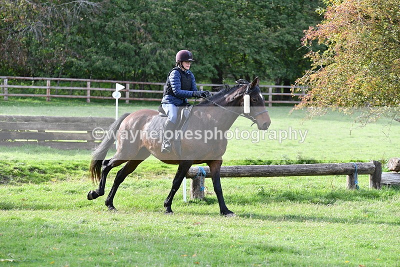 WJ5_1197 - Time 14:29 to 15:31