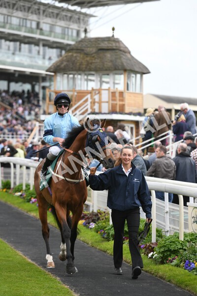 yr13052022r4-4 - Race 4 3.35pm The Paddy Power Yorkshire Cup (British Champions Series Race)