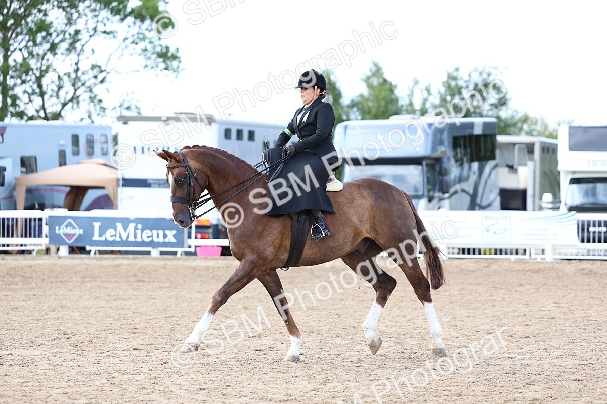 SBM_03223 - Class 22 - SSA Equitation (any age)