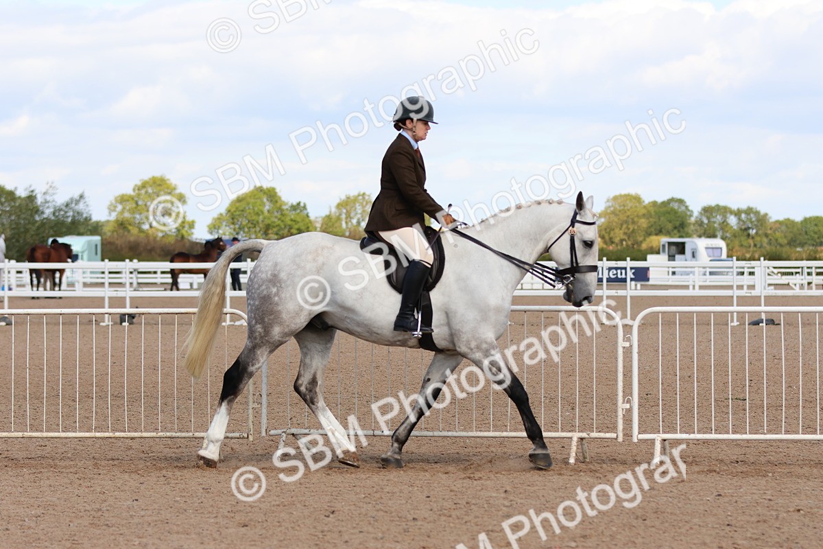 SBM_13476 - Class 212 - Ridden Hunter  - Large