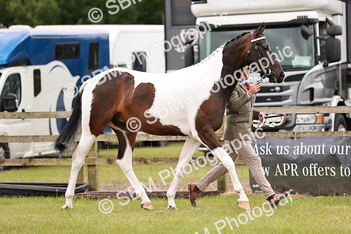 SBM_04509 - Class 5-8 - BSPA In hand