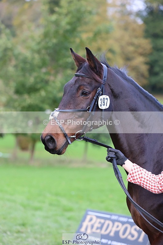 251026A-103411-23109 - E-397-Verity.Leggett