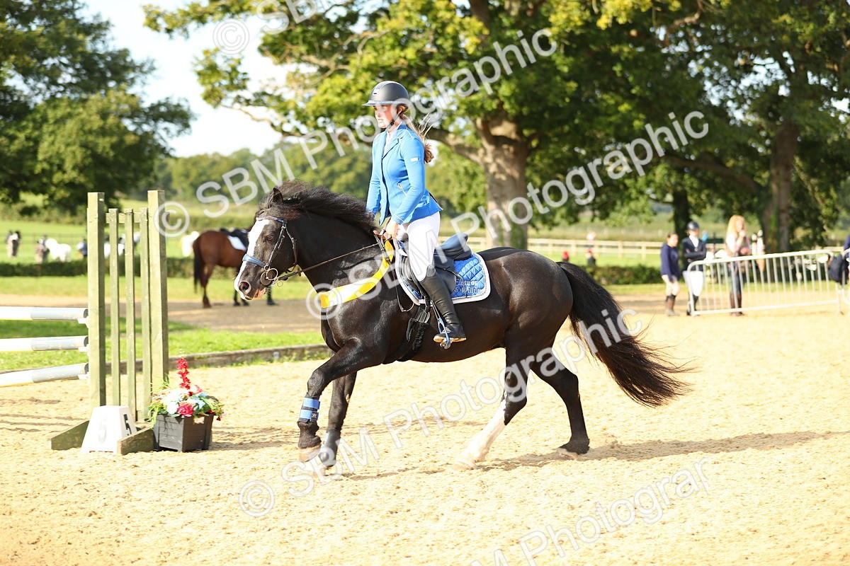 SBM_60460 - J41 - Grand Tour 95cm Championship