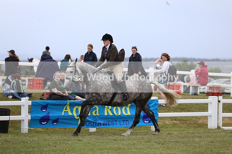 3E7A1501 - Class 9: Open Hunter