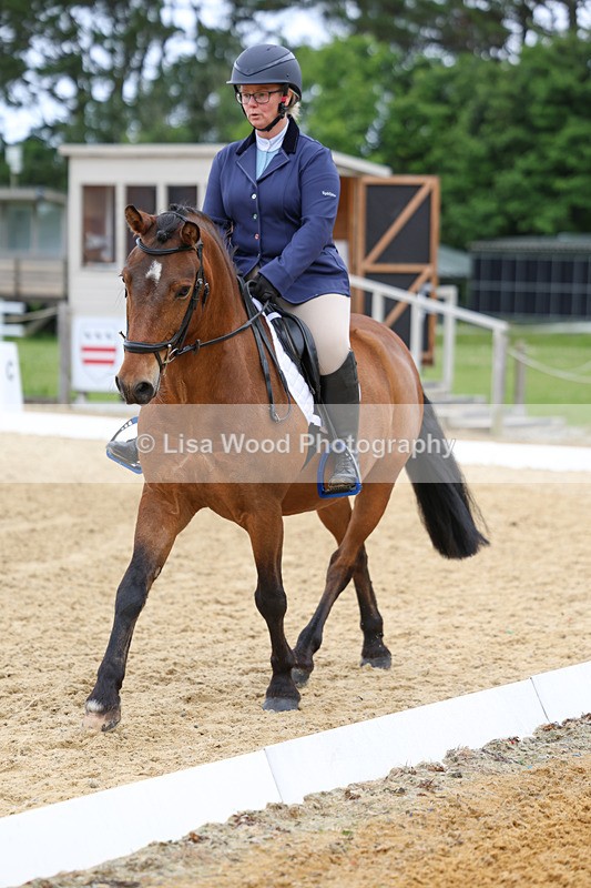 3E7A9525 - Class 2: Intro 1 2024 Section B