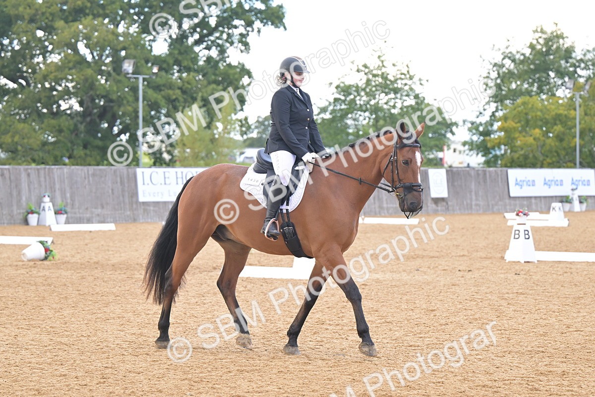 SBM_11240 - D3 - Small Tour Championship Intro 3