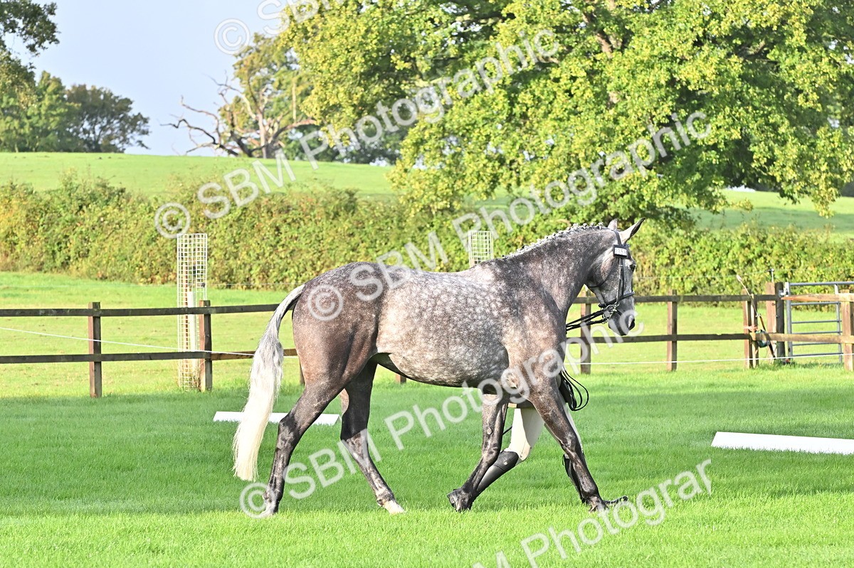 SBM_32607 - S15 - Top Turnout In Hand
