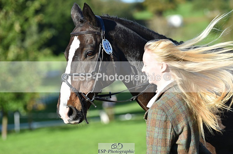 231022-104904-23515 - 489-MY.GALWAY.MAN-Daisy.Hood-TrotUp+SJ