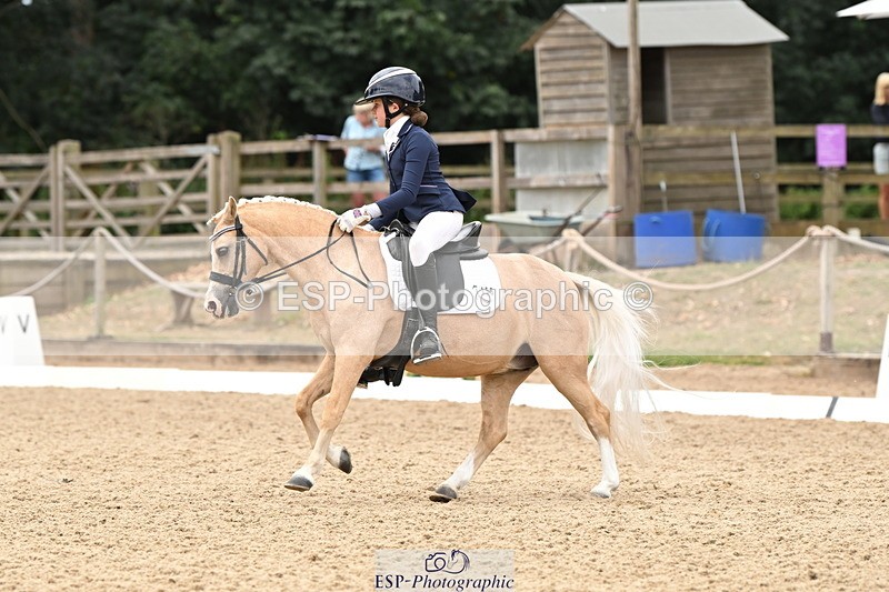 250808A-114246-00680 - 155-Rose.Cassapi-Westfirle.Golden.Oriole