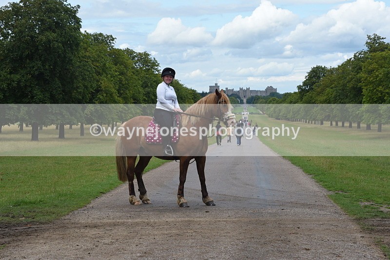 TT3_0398 - Time at Crossing 14:53 to 1526