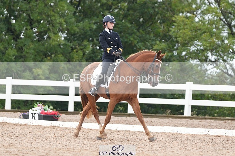 250907-153907-09602 - 122-India.JohnGrayswood.Orlando