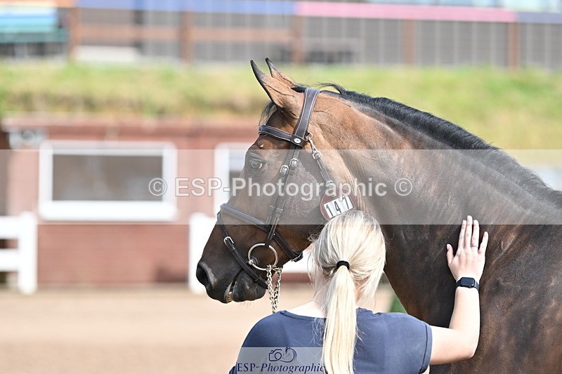 240717A-155500-03182 - Trot Up 3pm to 4pm