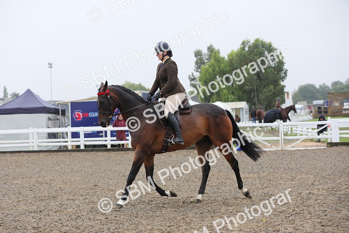SBM_20055 - Class 802 - Ridden Groom - Helpers class
