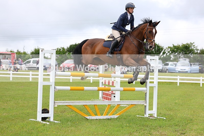 3E7A7126 - Class 12: Senior Foxhunter/1.20 open