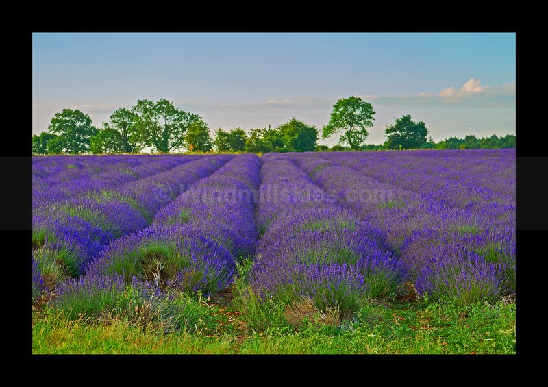  - Land