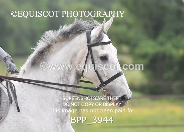 BPP_3944 - CLASS 6 Senior Discovery/ 1m Open