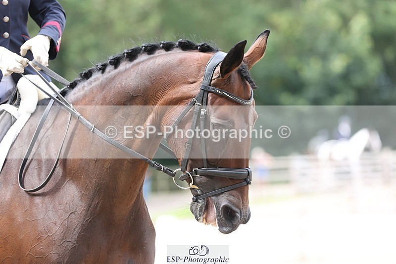 230813-111808-06805 - Cls 11 Elem Bronze 11.10 to 12.20 break