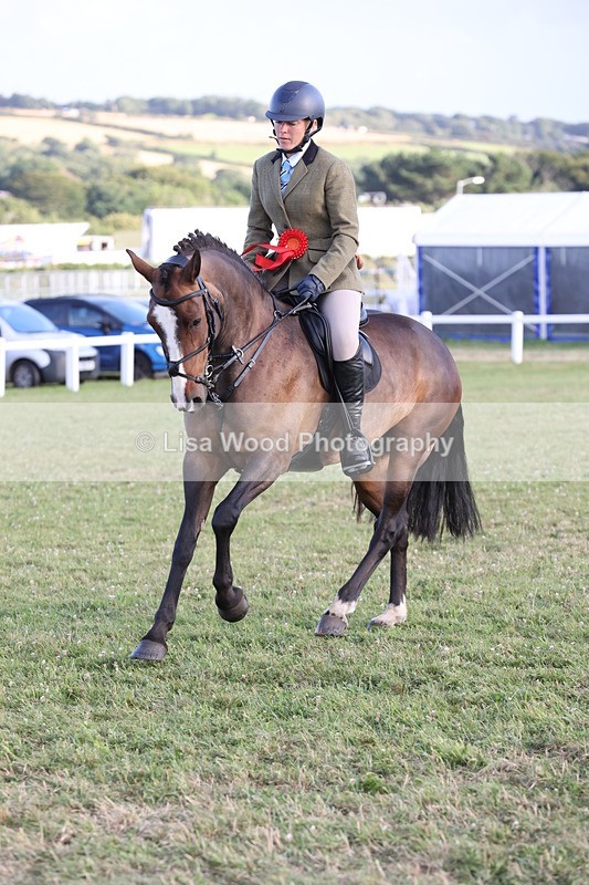 JPP_3741 - Working Hunter Championship
