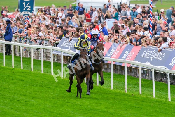 080925-Pony Racing-Shes A Corker-7093 - Pony Racing 1.45pm Dragon (TV and Film) Studios Pony Race 148cm & Under
