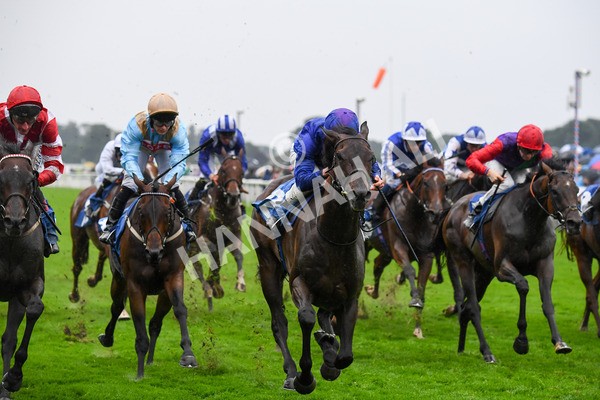 yr21082021r6-11 - Race 6 4.45pm Sky Bet Stakes