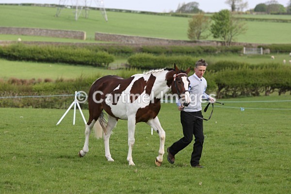 M_MB0111 - MBRC In Hand May 2013