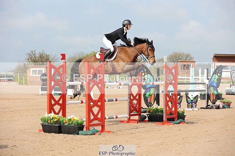 250424-101728-02935 - Cls 33 Young Horse 7yr old