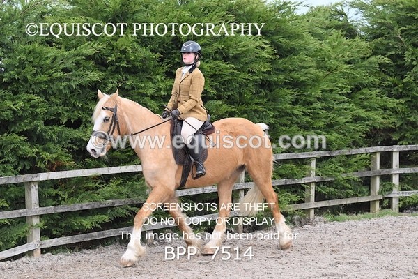 BPP_7514 - RING 1  (RIDDEN HORSES / IN HAND / VETERAN ETC)