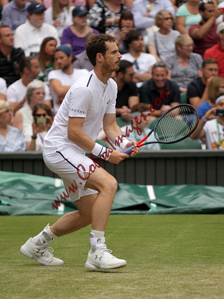 AF0I0117 - Wimbledon
