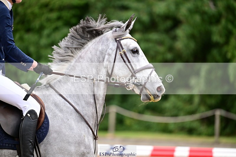 260704A-094818-12405 - Cls 36 85cm Nat Am Q