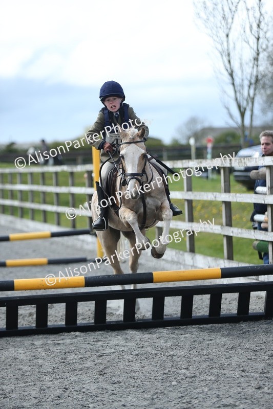 20260412-1772 - Show Jumping