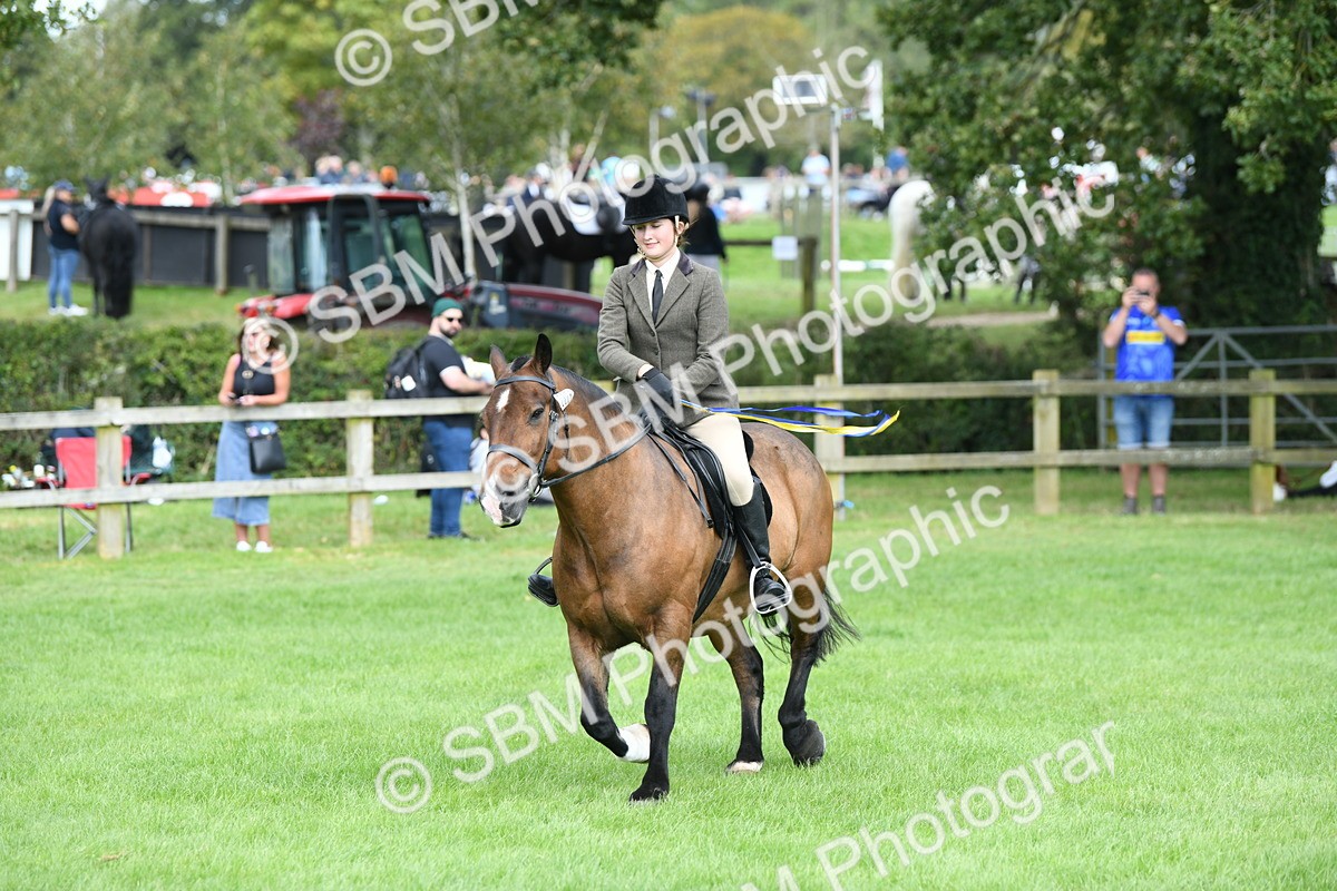 SBM_46864 - S12 - Family Horse & Pony