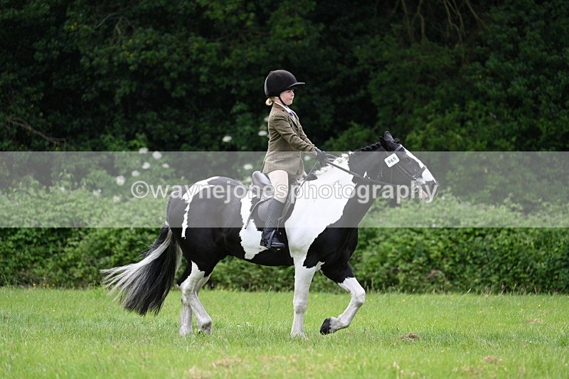 WJ7_2381 - Class 12A Coloured Class