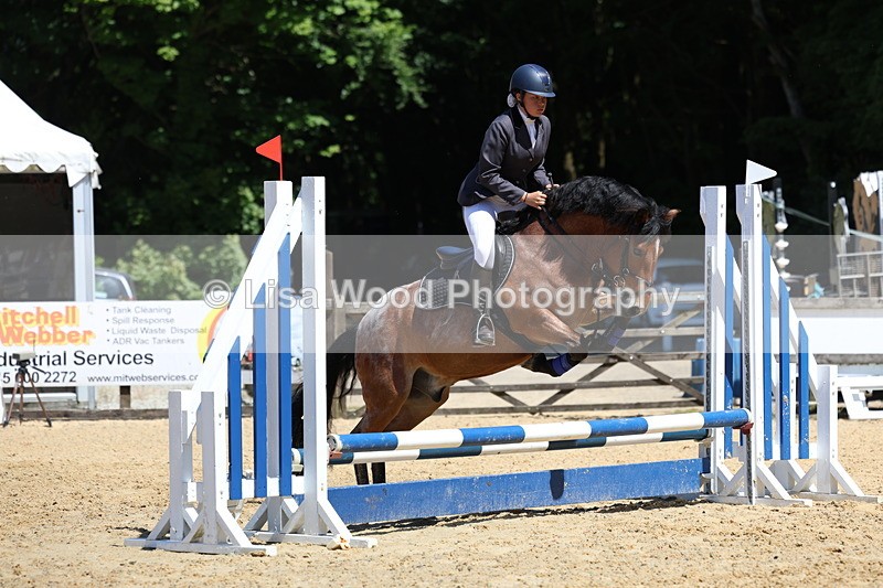 3E7A2356 - Class 4/5: 60cm Open Teams and Individuals